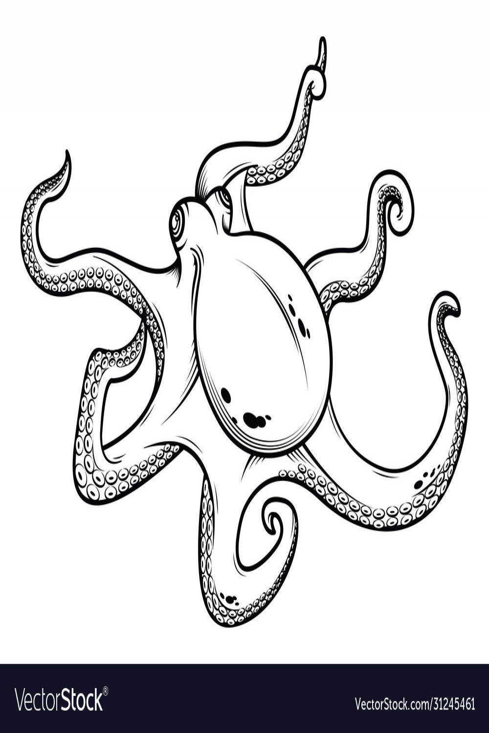Octopus hand drawing Royalty Free Vector Image