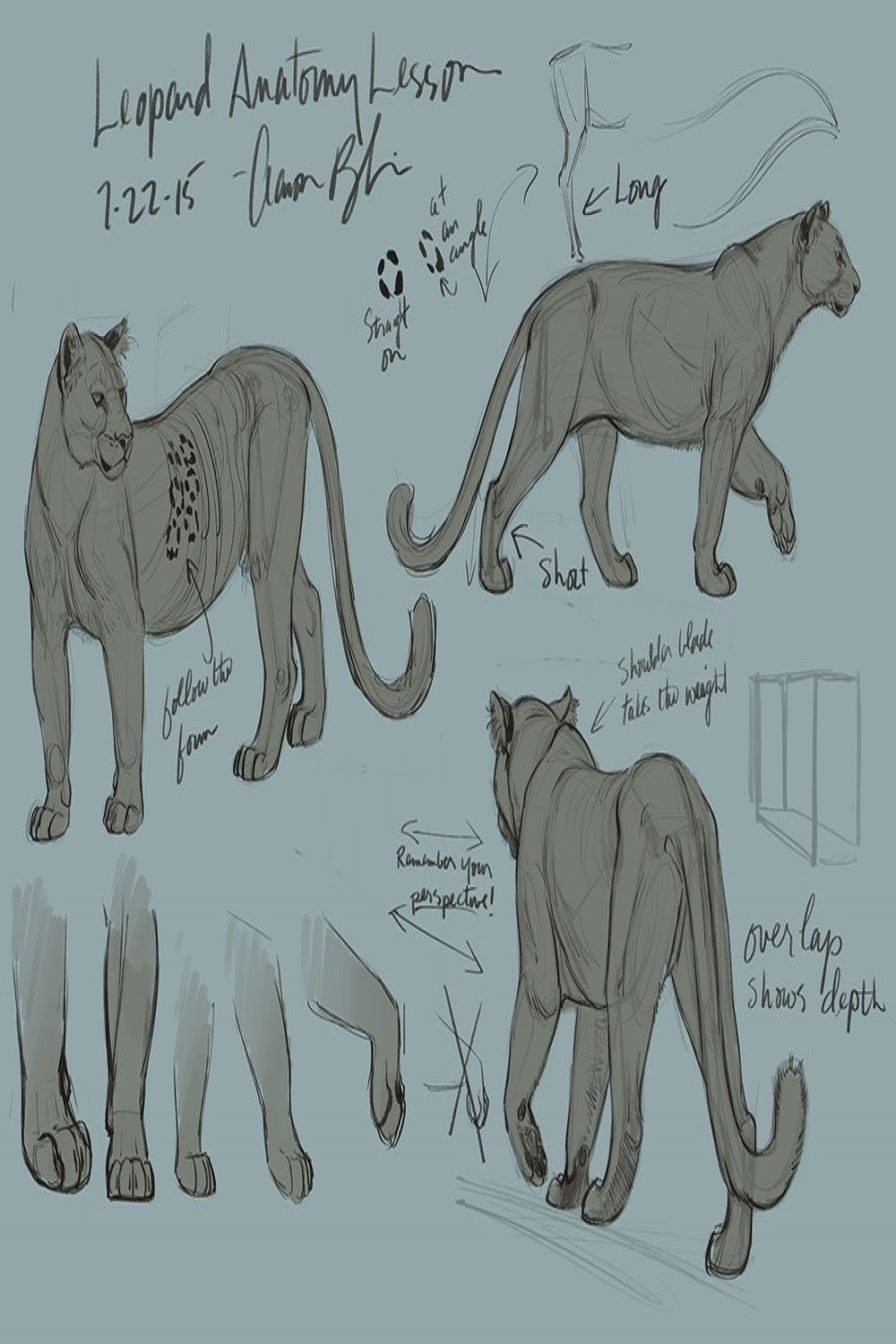 🔥 ON SALE! How to Draw Big Cats Class  Big cats art, Animal