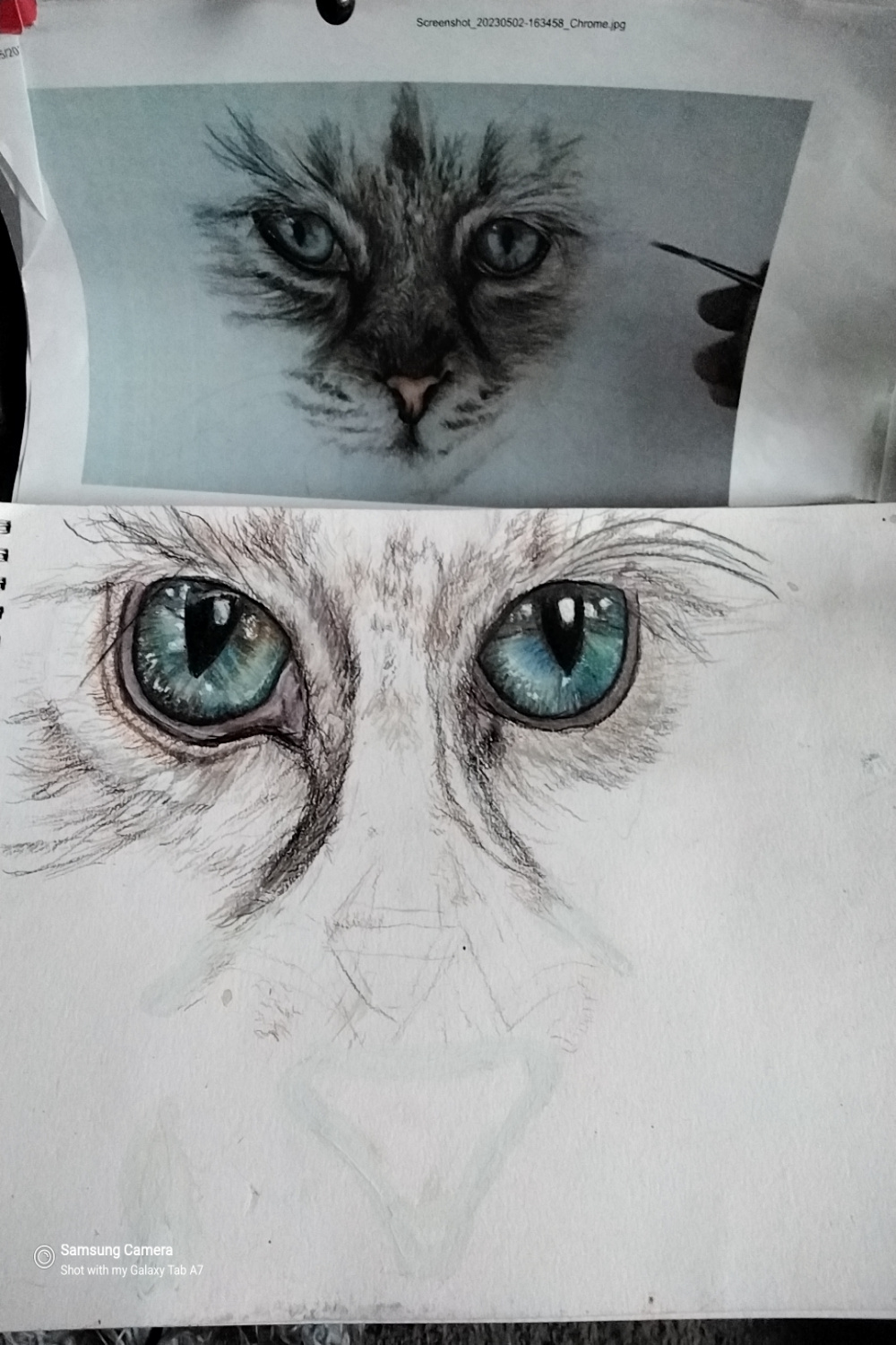 Ongoing cat