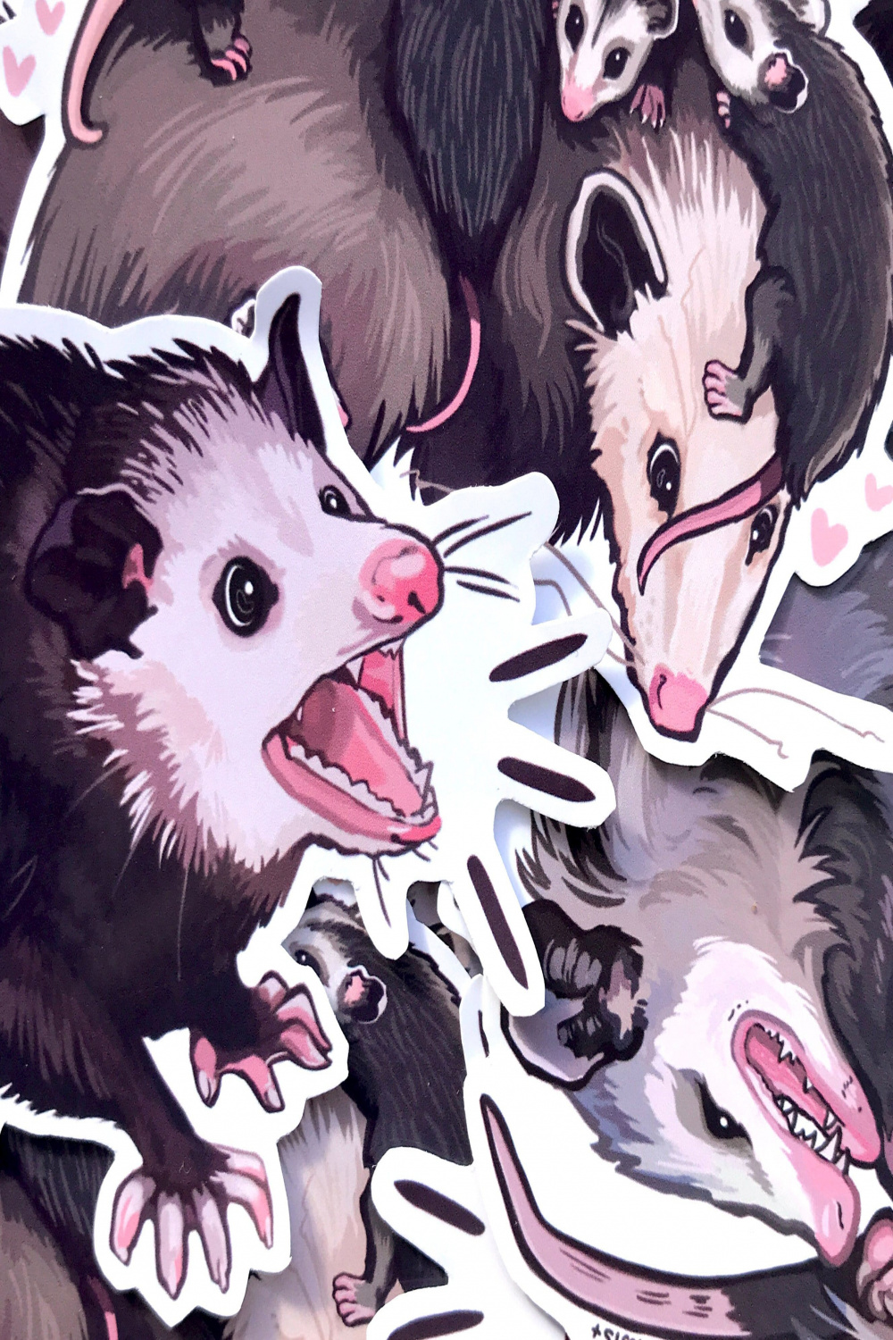 Opossum art - Etsy