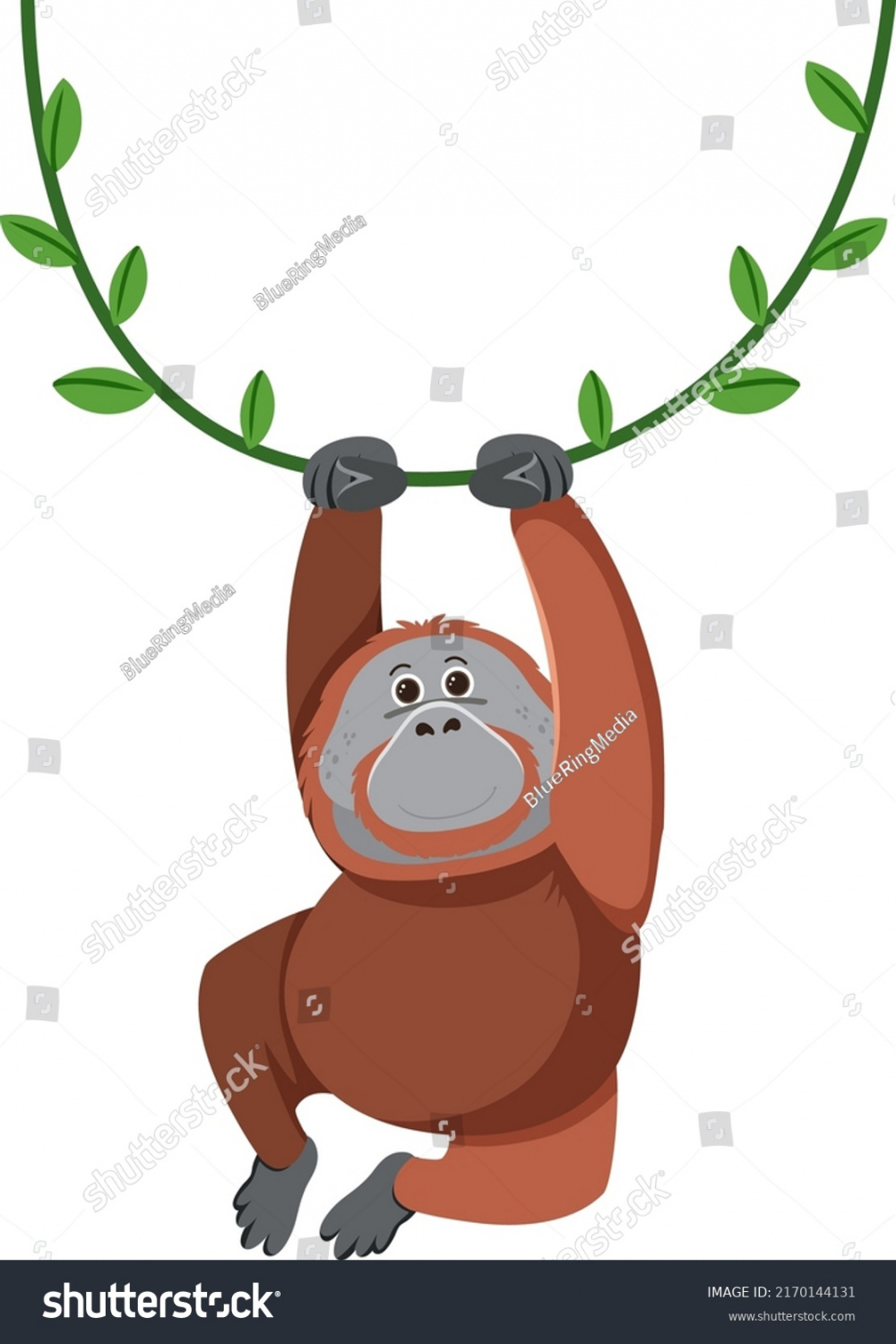 , Orangutan Drawing Images, Stock Photos, D objects