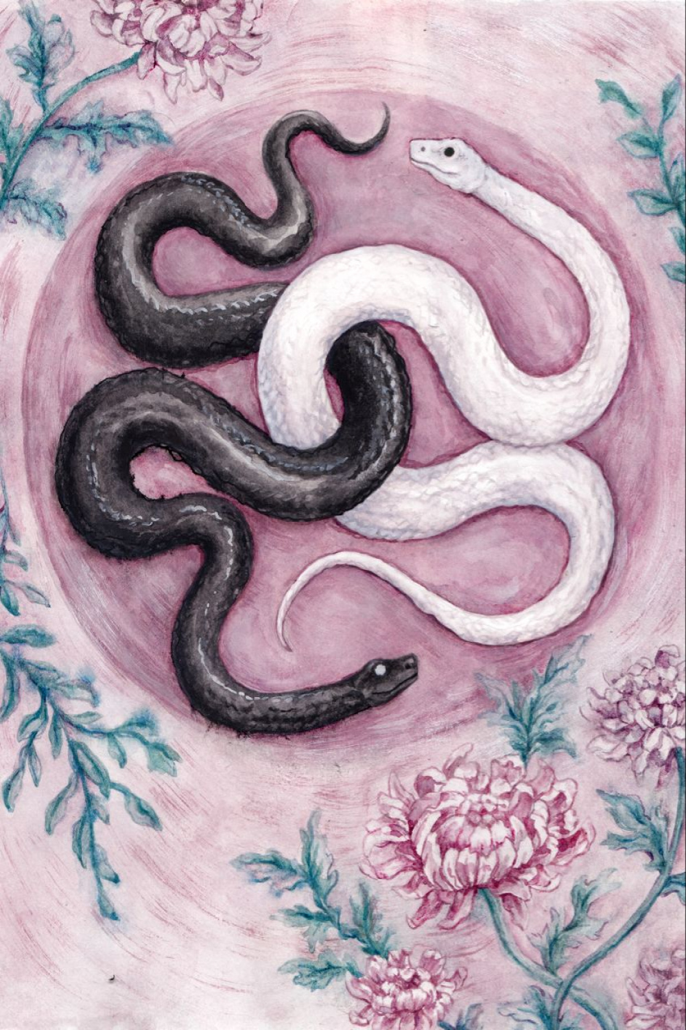 Order & Chaos Yin & Yang snakes  Snake illustration, Snake
