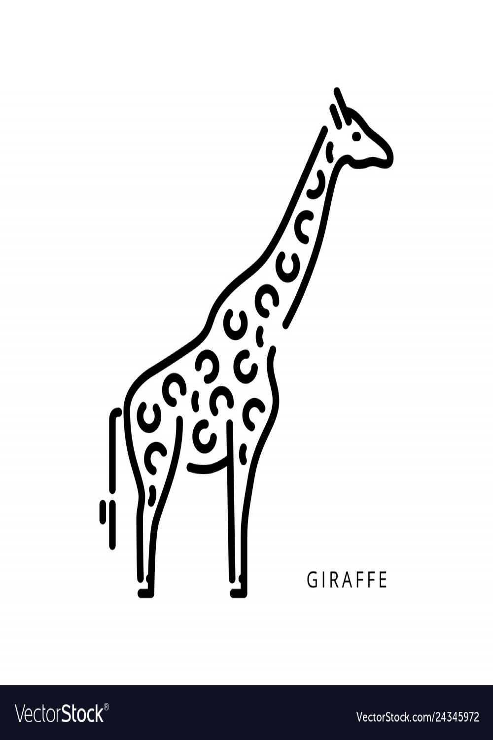 Outline logo drawing giraffe african animal Vector Image