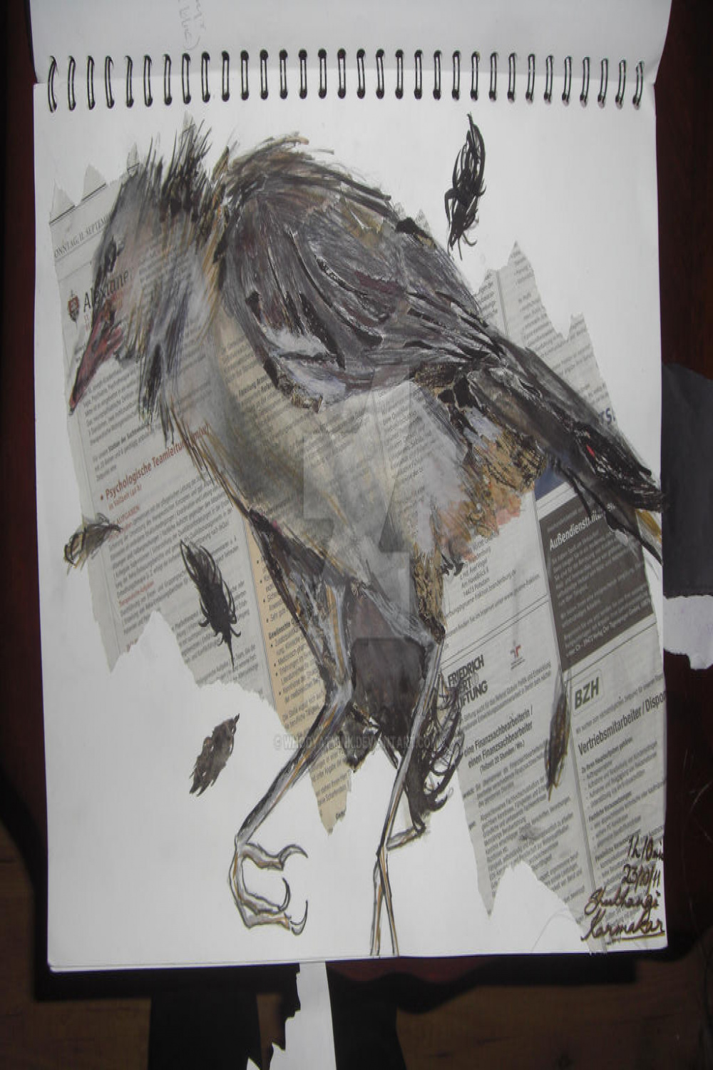 P GCSE Dead Bird by whodyathink on DeviantArt