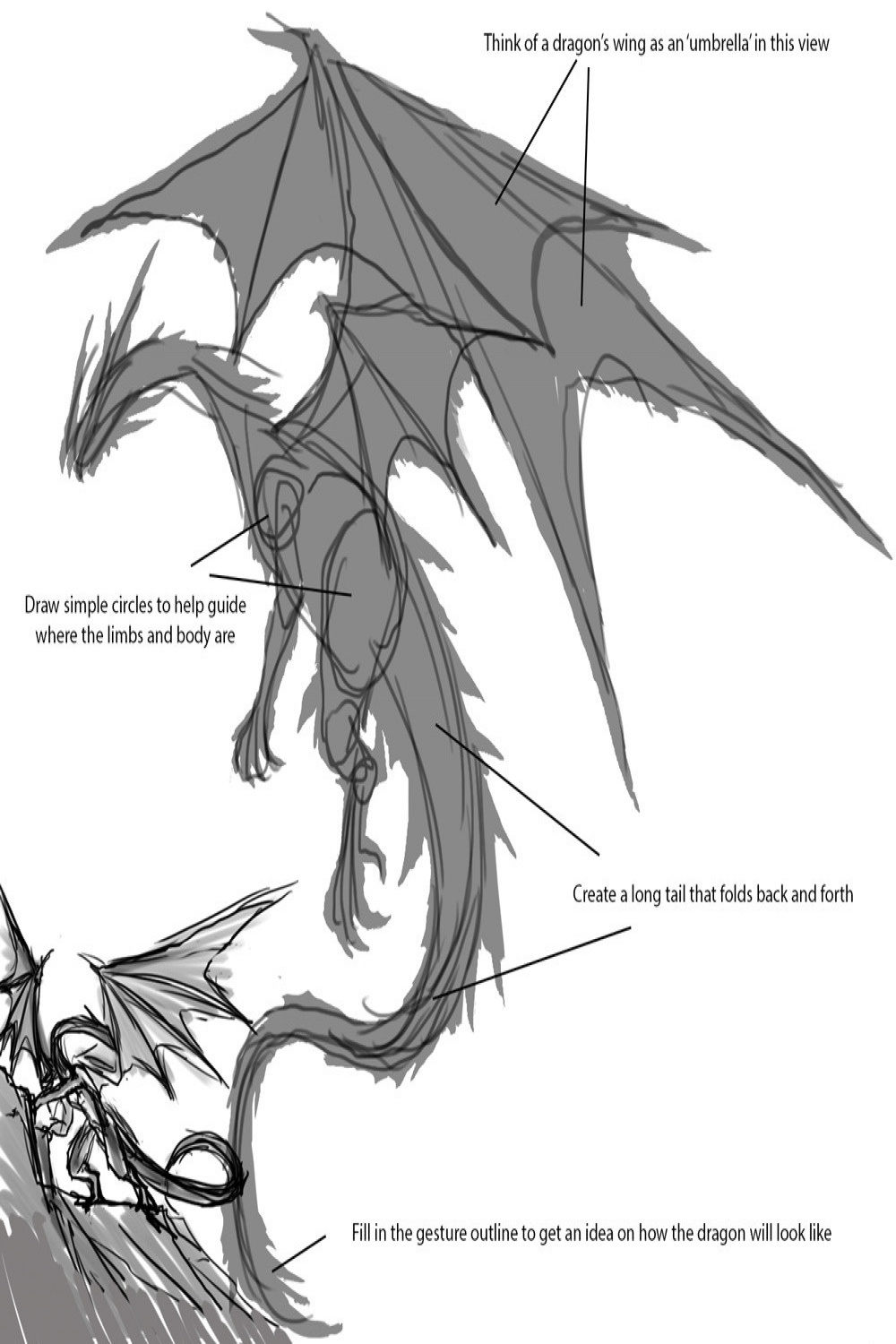 Pablo Fernández Vicente - How to draw the anatomy of a dragon from