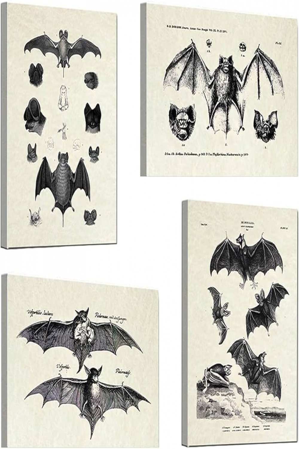Pack of  Bats Wall Decoration Bats Wall Art, Vintage Retro Hipster Gothic  Wall Decoration, Gothic Art, Gothic Gifts for Home, Living Room, Decoration