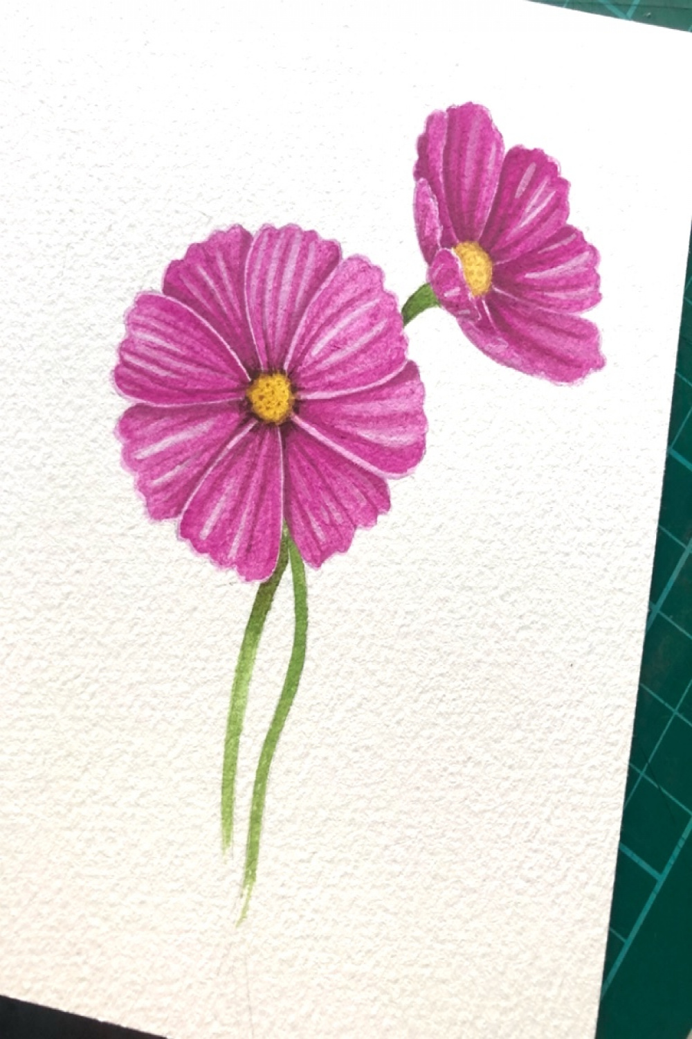 Paint Along: Cosmos Flower Watercolor Tutorial