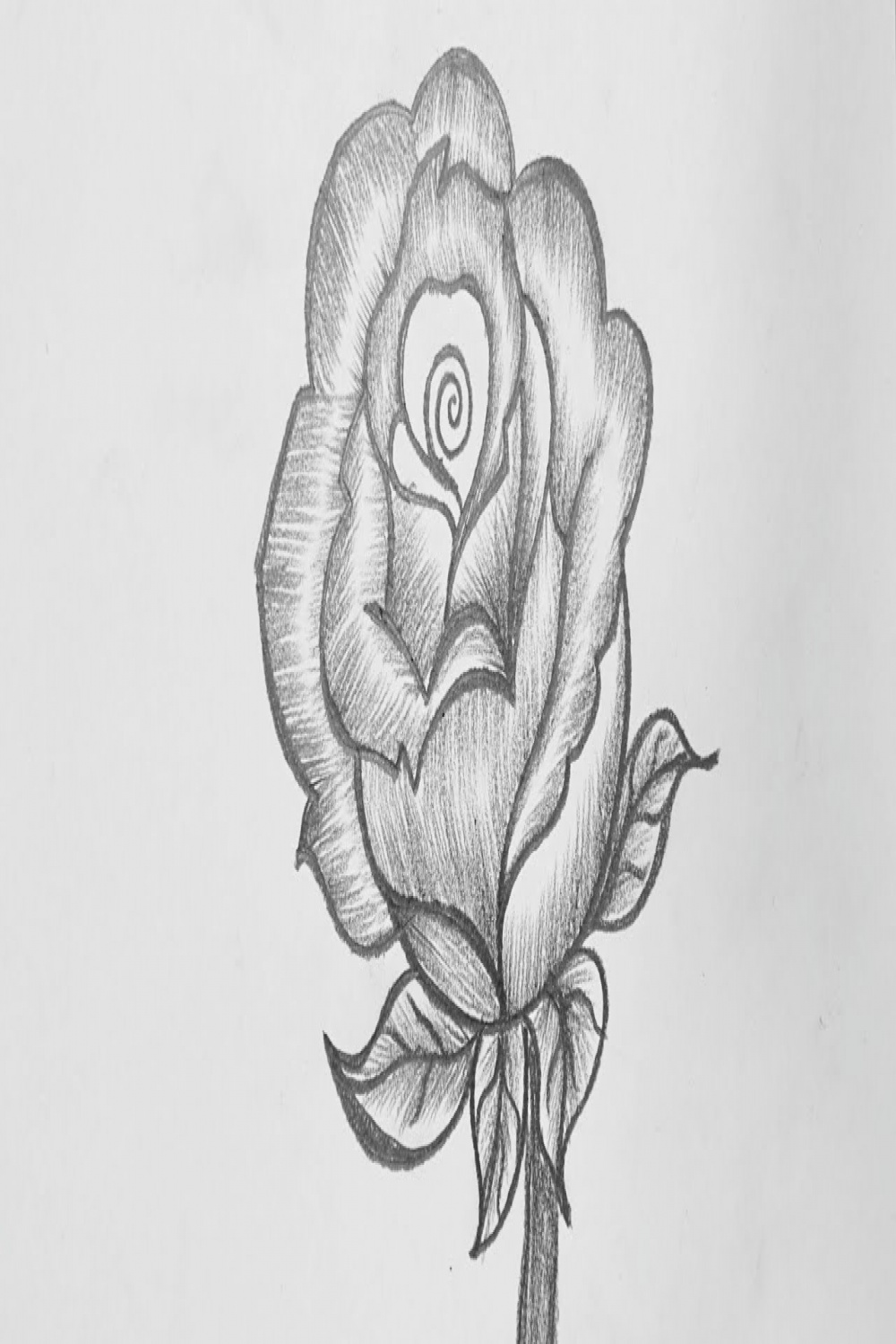 Pencil Drawing Rose Flower  How To Draw Rose Pencil Drawing  Easy Rose  Pencil Drawing