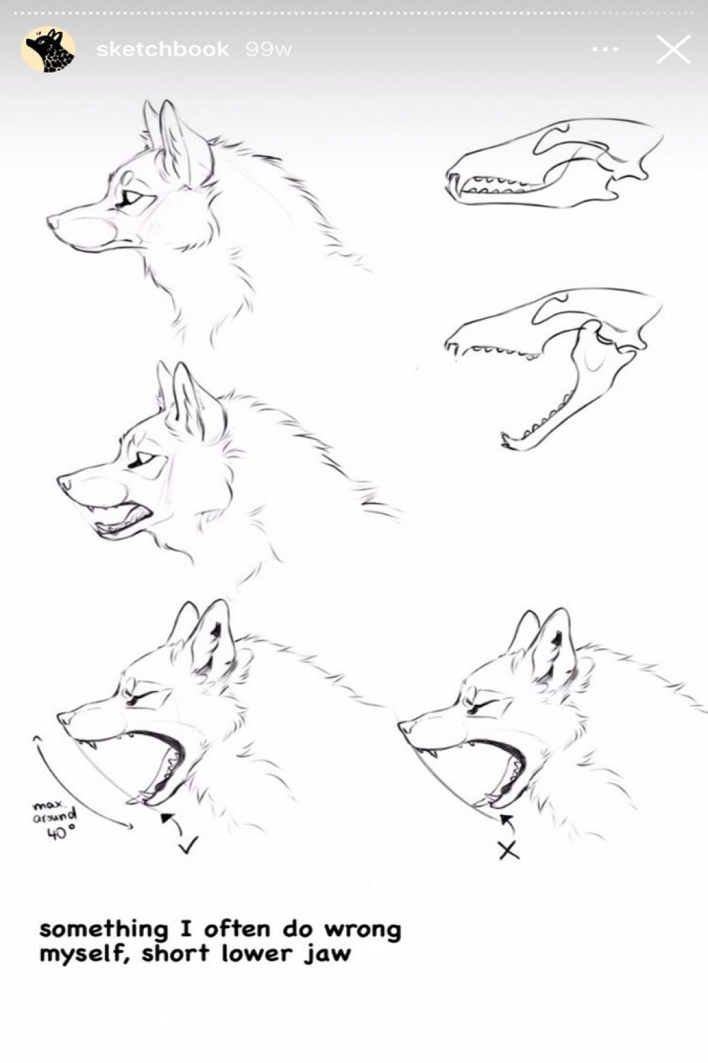 Pin by Akai Butterfly on Animal body language in   Dog