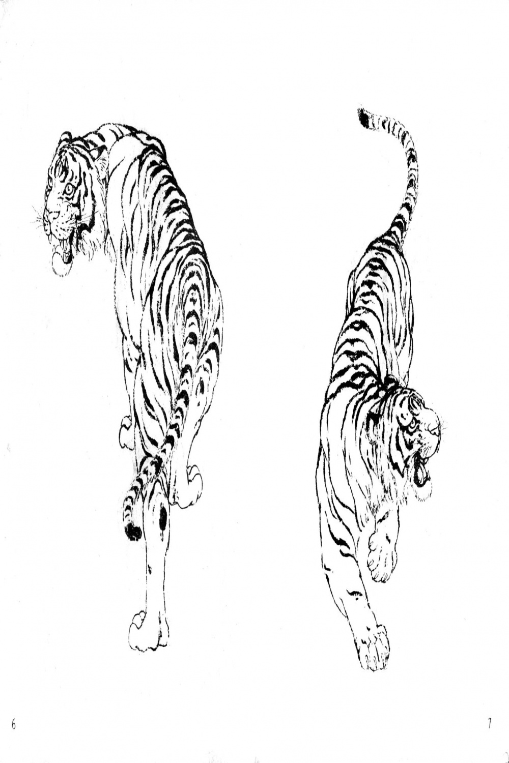 Pin by Dan Balle on Tigres Diseños  Tiger art, Inspirational