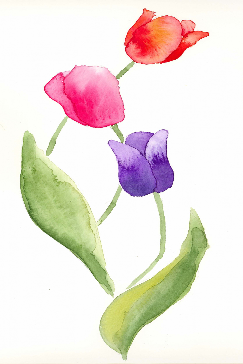 Pin by Glynna Gower on Cards  Floral watercolor, Watercolor
