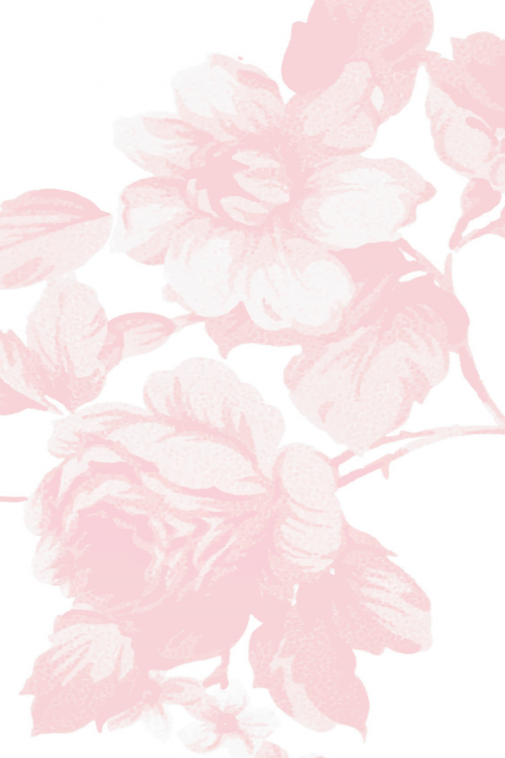 Pin by Jeanri Viljoen on Phone shirts  Flower backgrounds, Flower