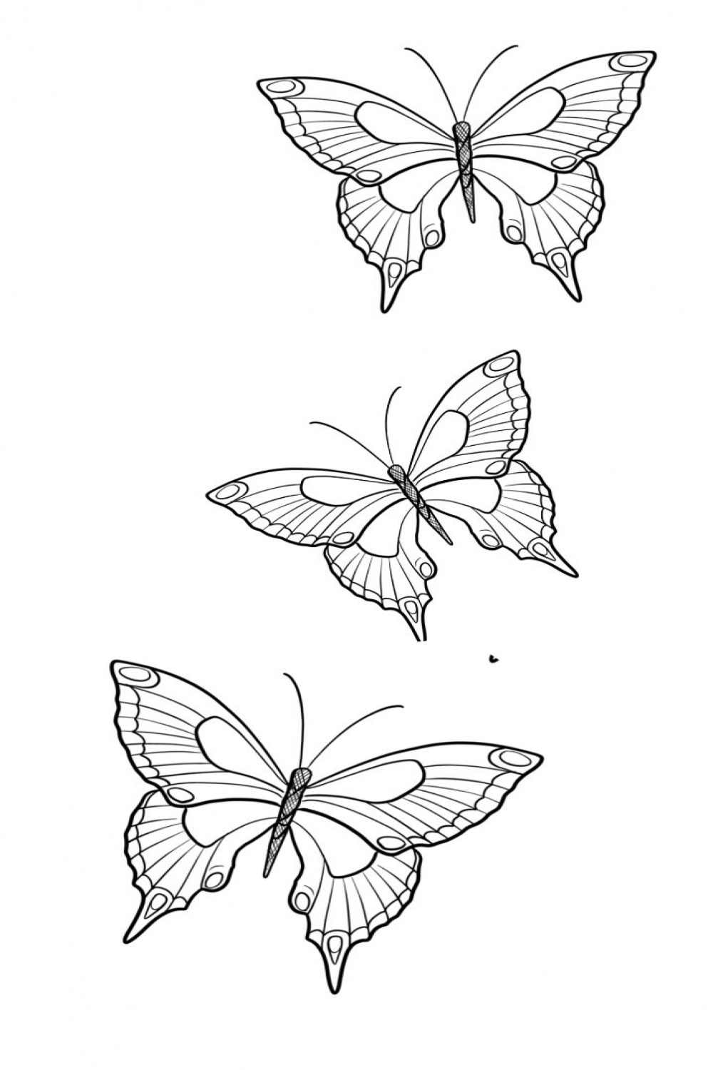 Pin by Madeleine Dalby on Tatoveringer  Butterfly art drawing