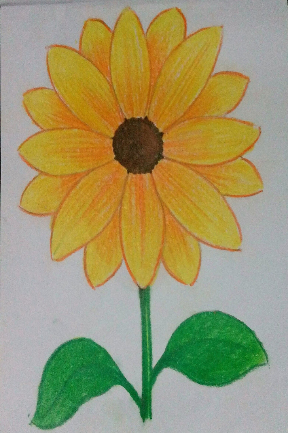 Pin by Nk fashion and baker house  on Drawings  Lotus flower