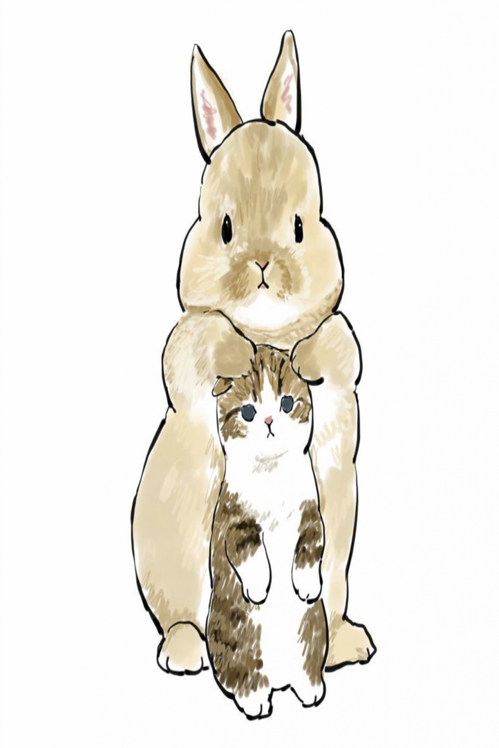 Pin by 🍨 on These very specific cat drawings  Kitten drawing