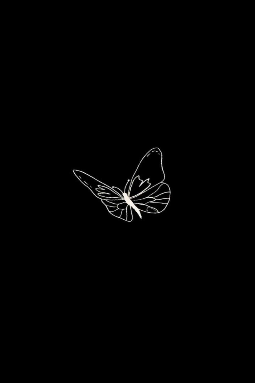 Pin em Butterflies  Black paper drawing, Black and white art