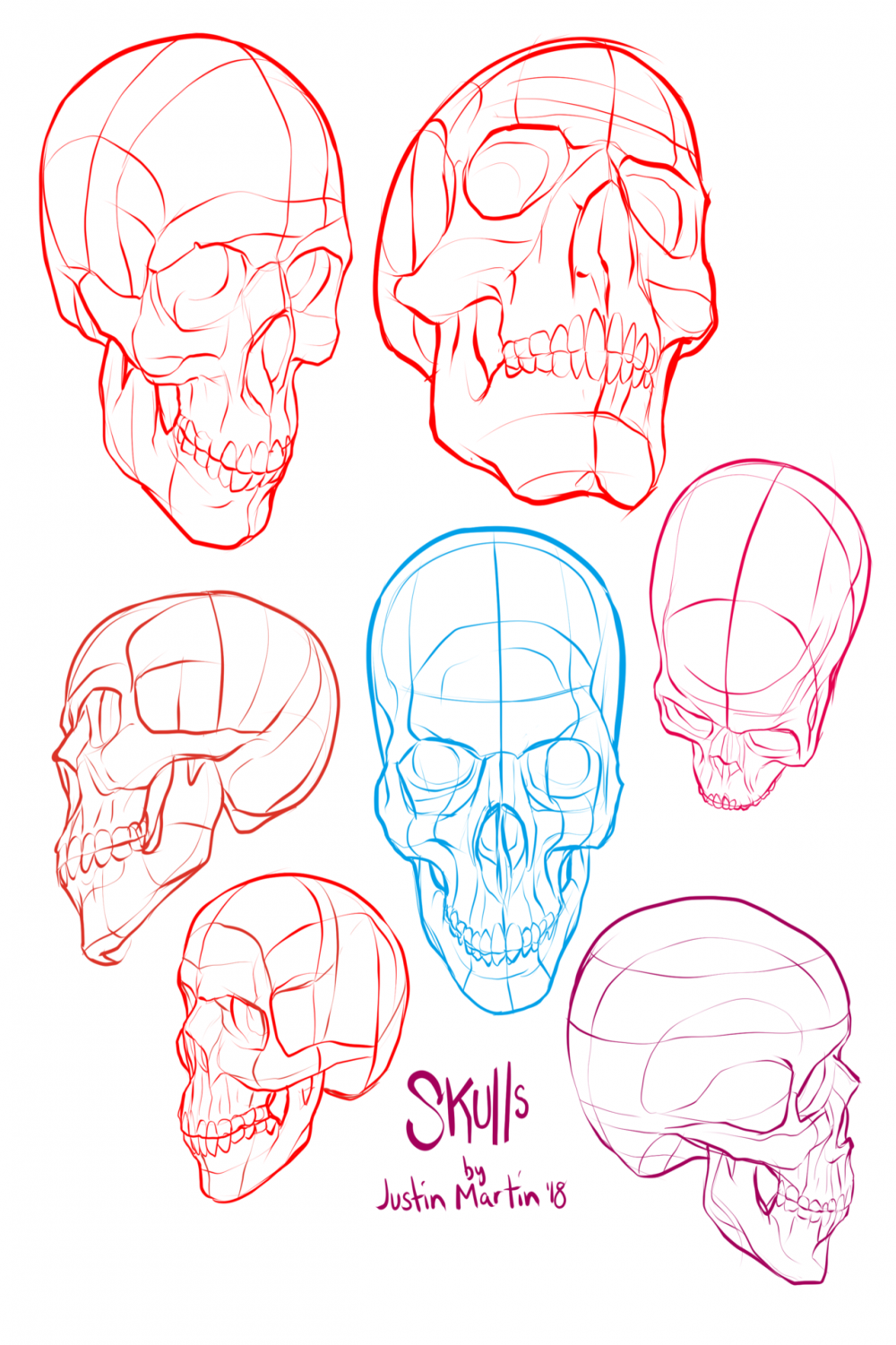 Pose Reference  Skull art drawing, Skulls drawing, Skull reference
