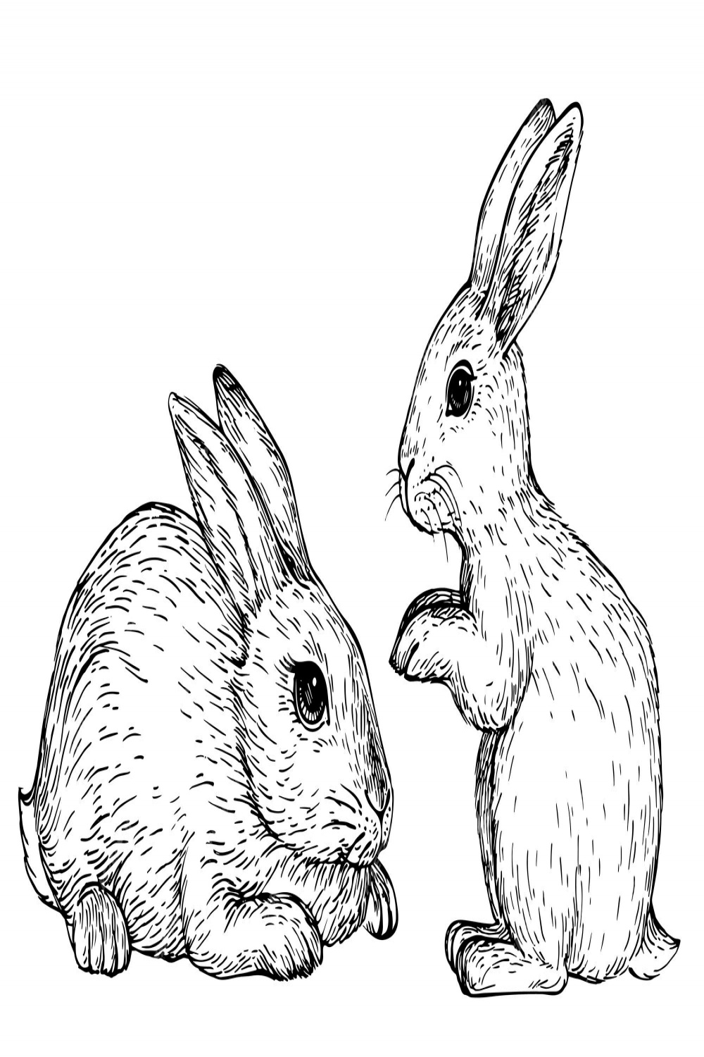 Premium Vector  Hand drawn rabbit sketch bunny sitting