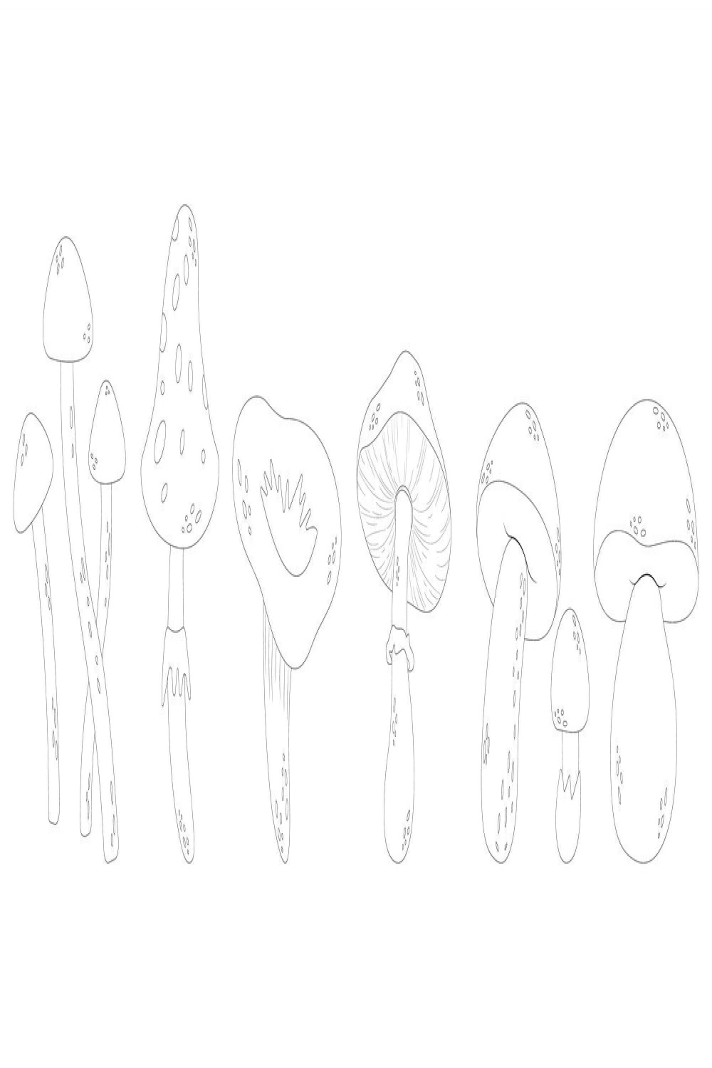 Premium Vector  Mushrooms line art style hand drawn mushrooms no