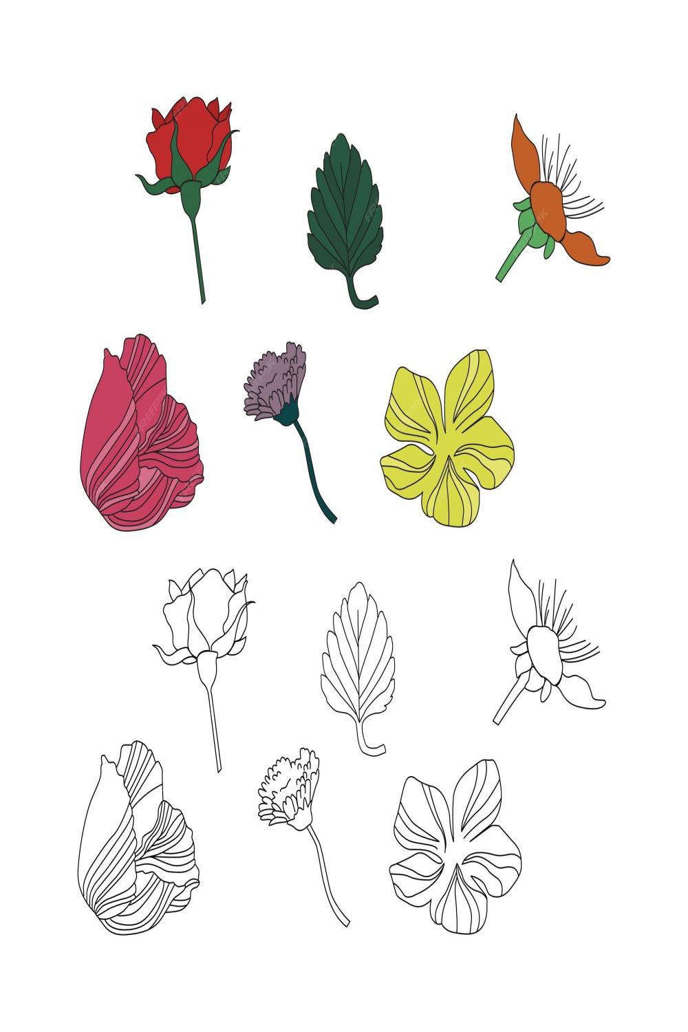 Premium Vector  s vintage wild flower line art colorful vector