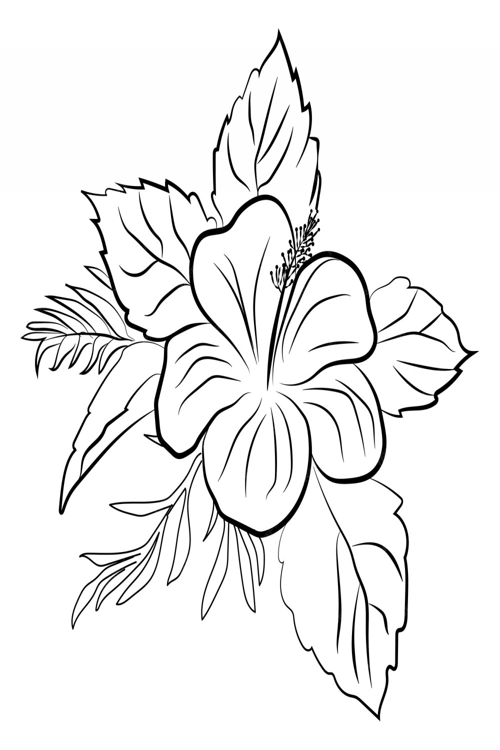 Premium Vector  Set of flowers