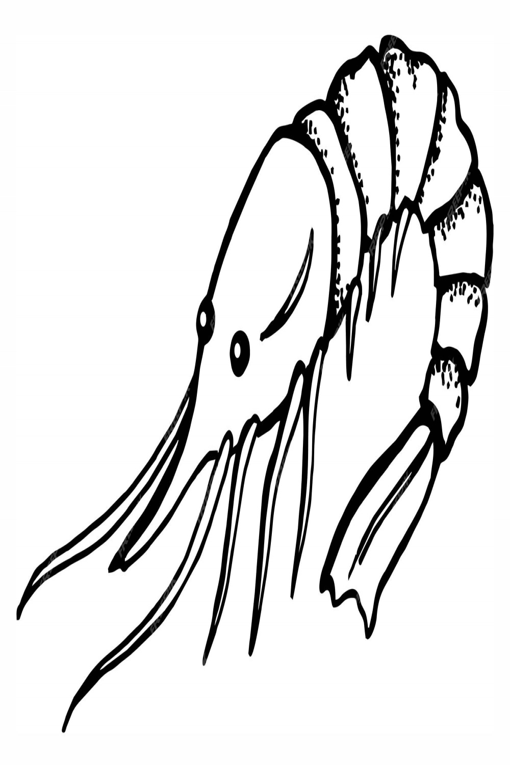 Premium Vector  Shrimp prawn seafood hand draw sketch drawing red