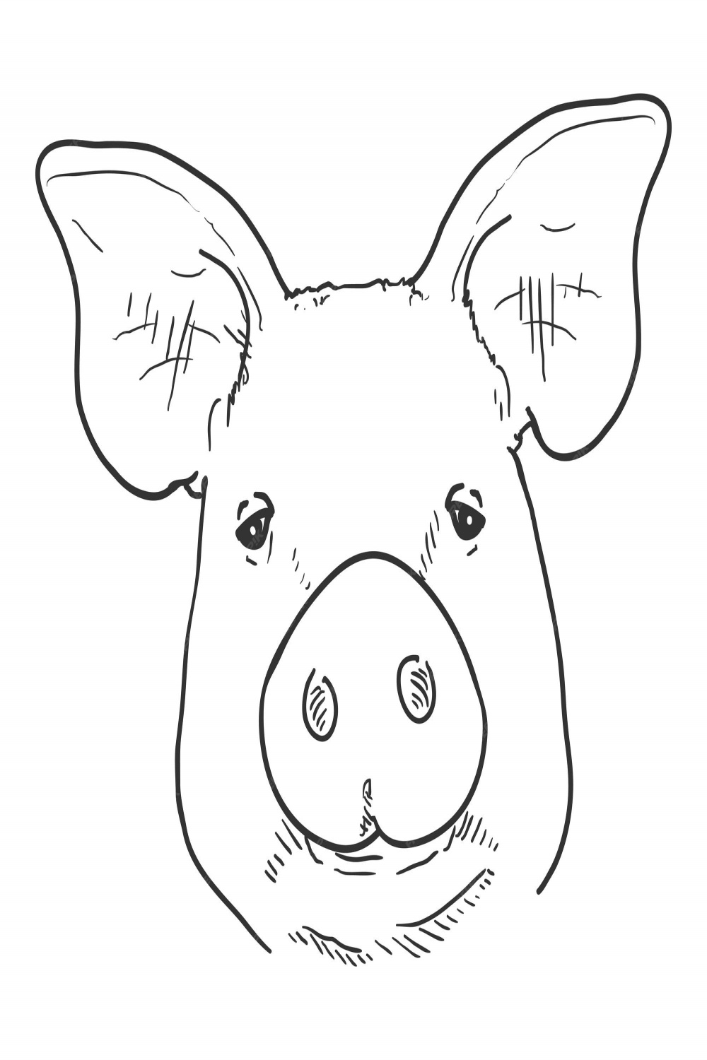 Premium Vector  Vector sketch pig face front view