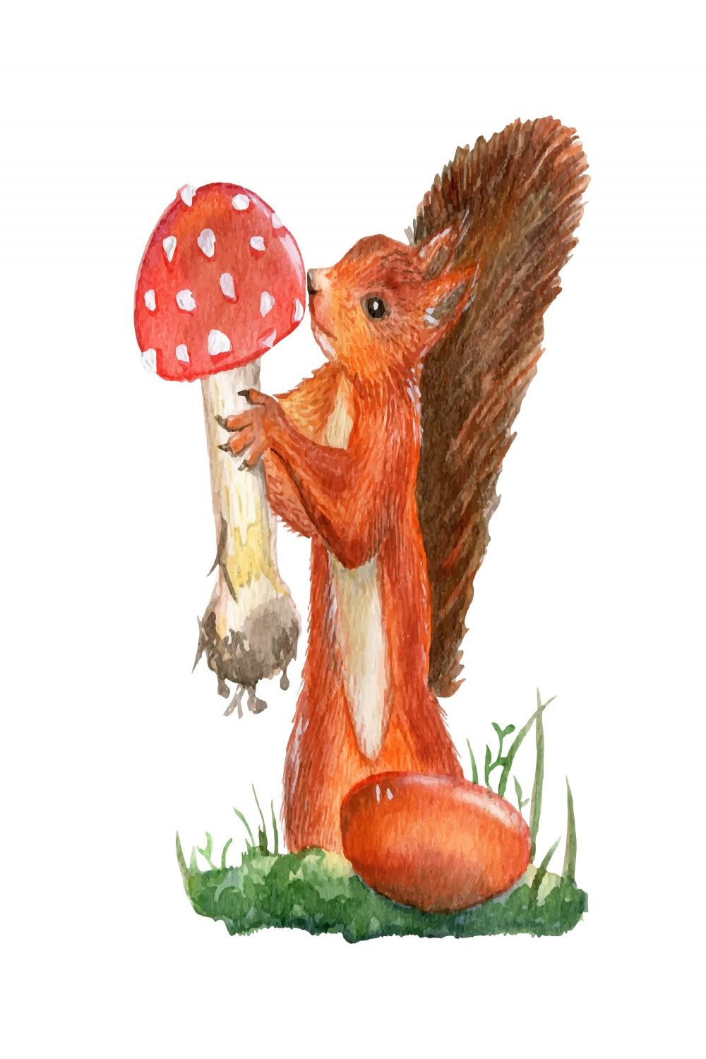 Premium Vector  Watercolor illustration of a forest squirrel