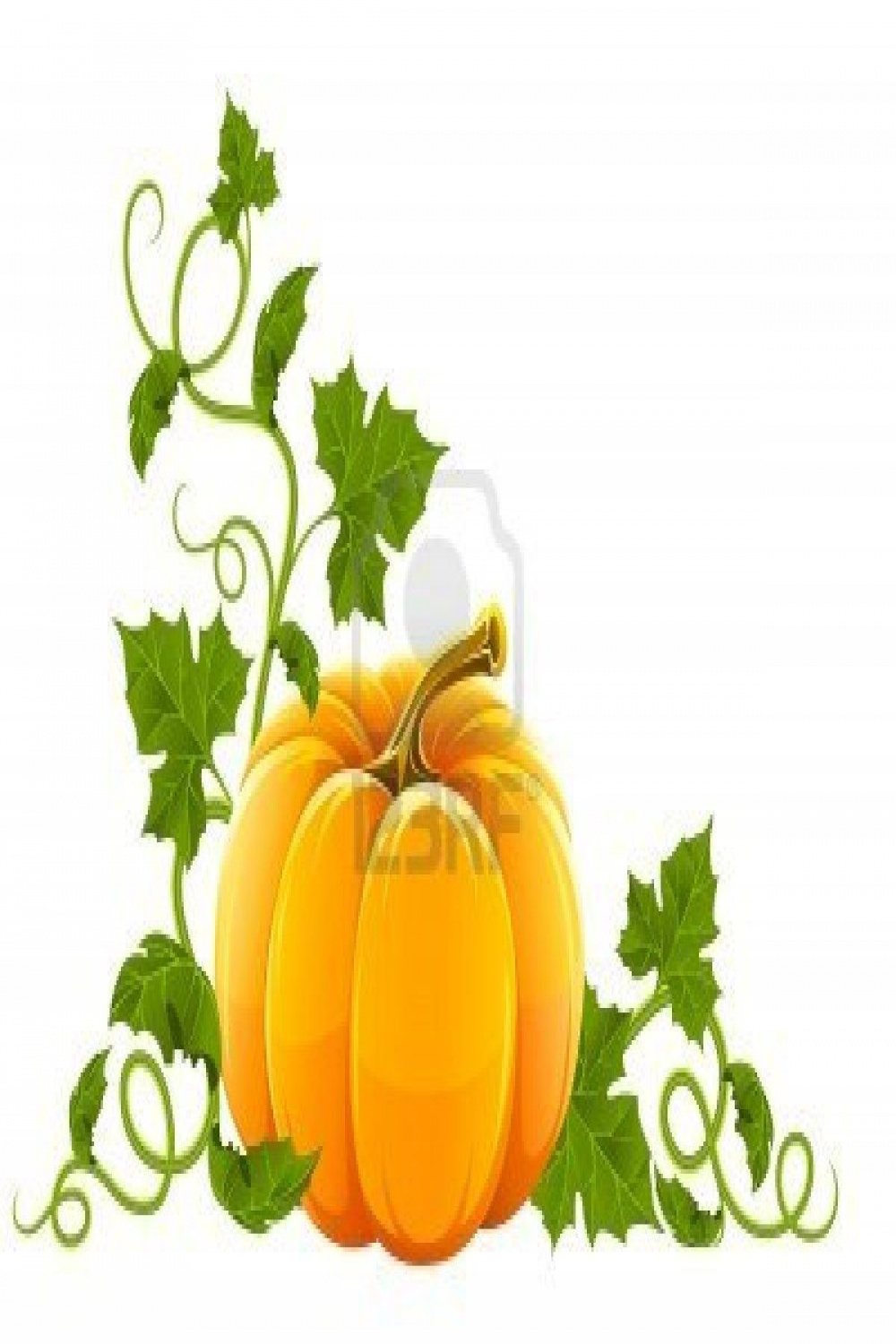pumpkin leaves  Pumpkin illustration, Pumpkin illustration autumn