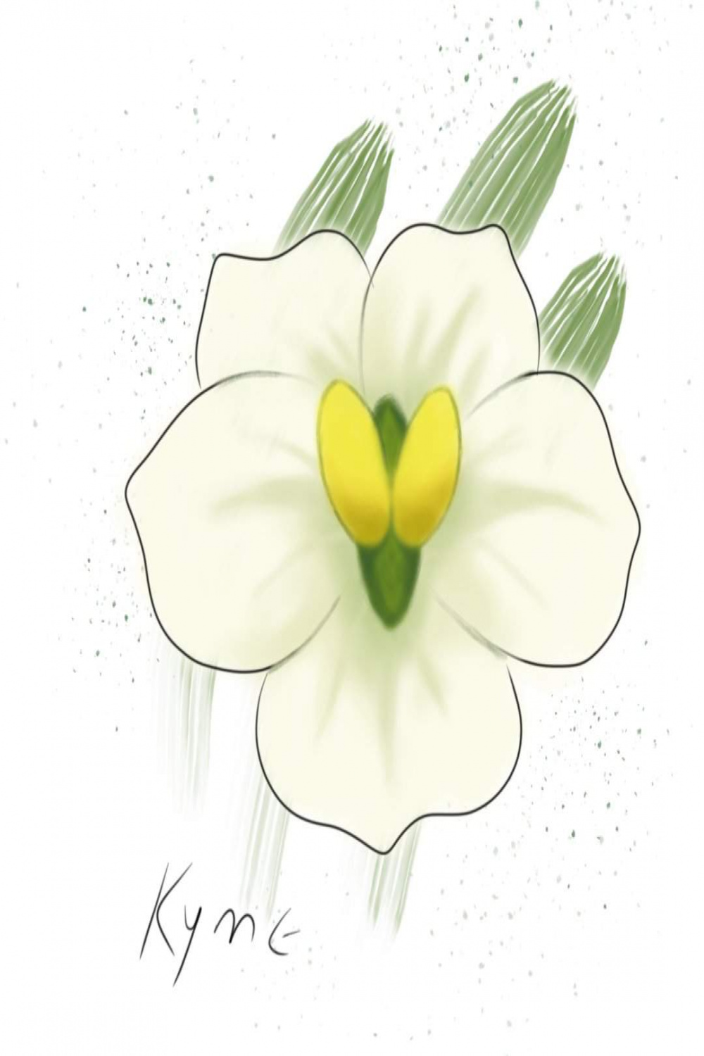 Qingxin Flower art for Ganyu  Genshin Impact Amino