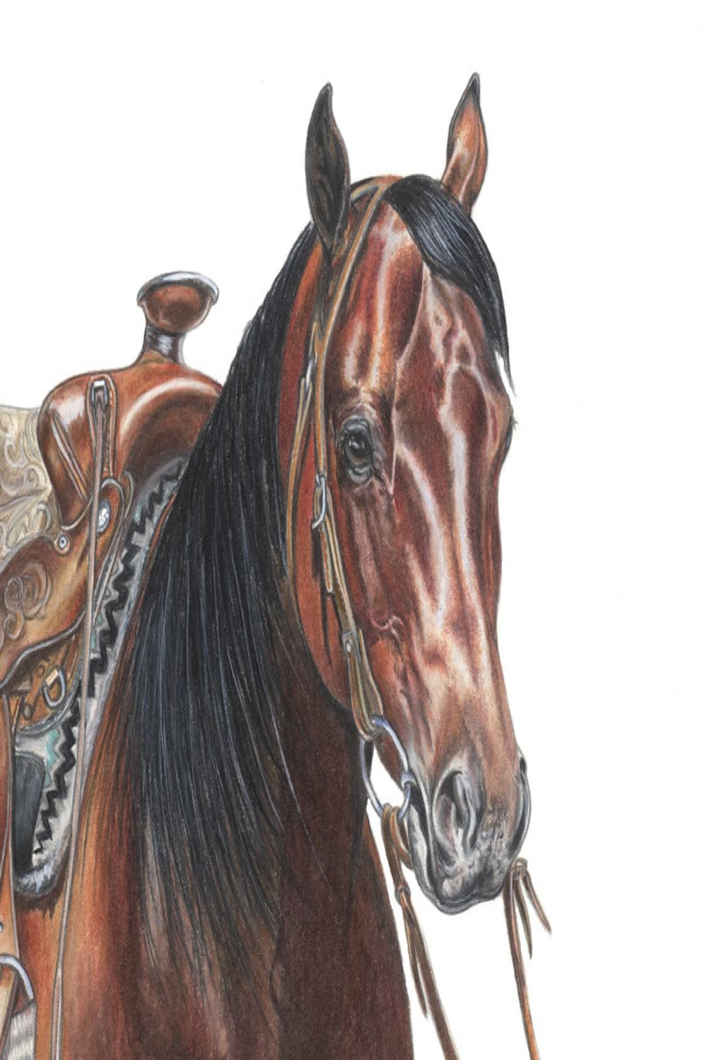 Quarter Horse Portrait ~ She