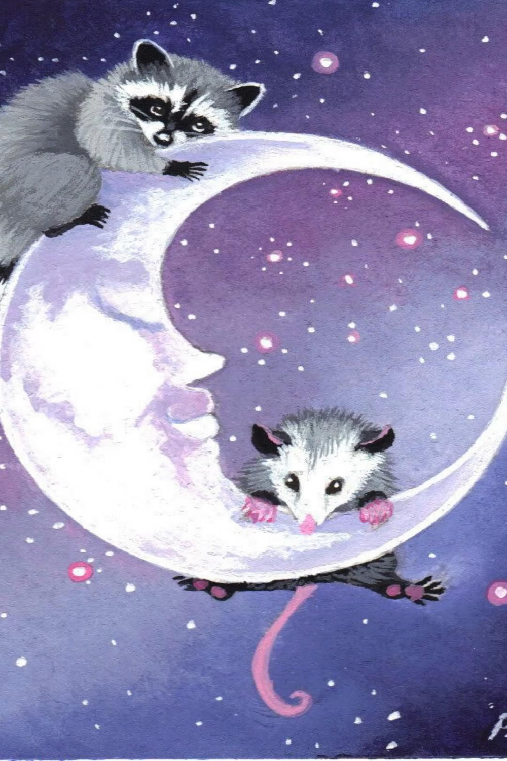 Raccoon and opossum  Raccoon art, Animal art, Moon art