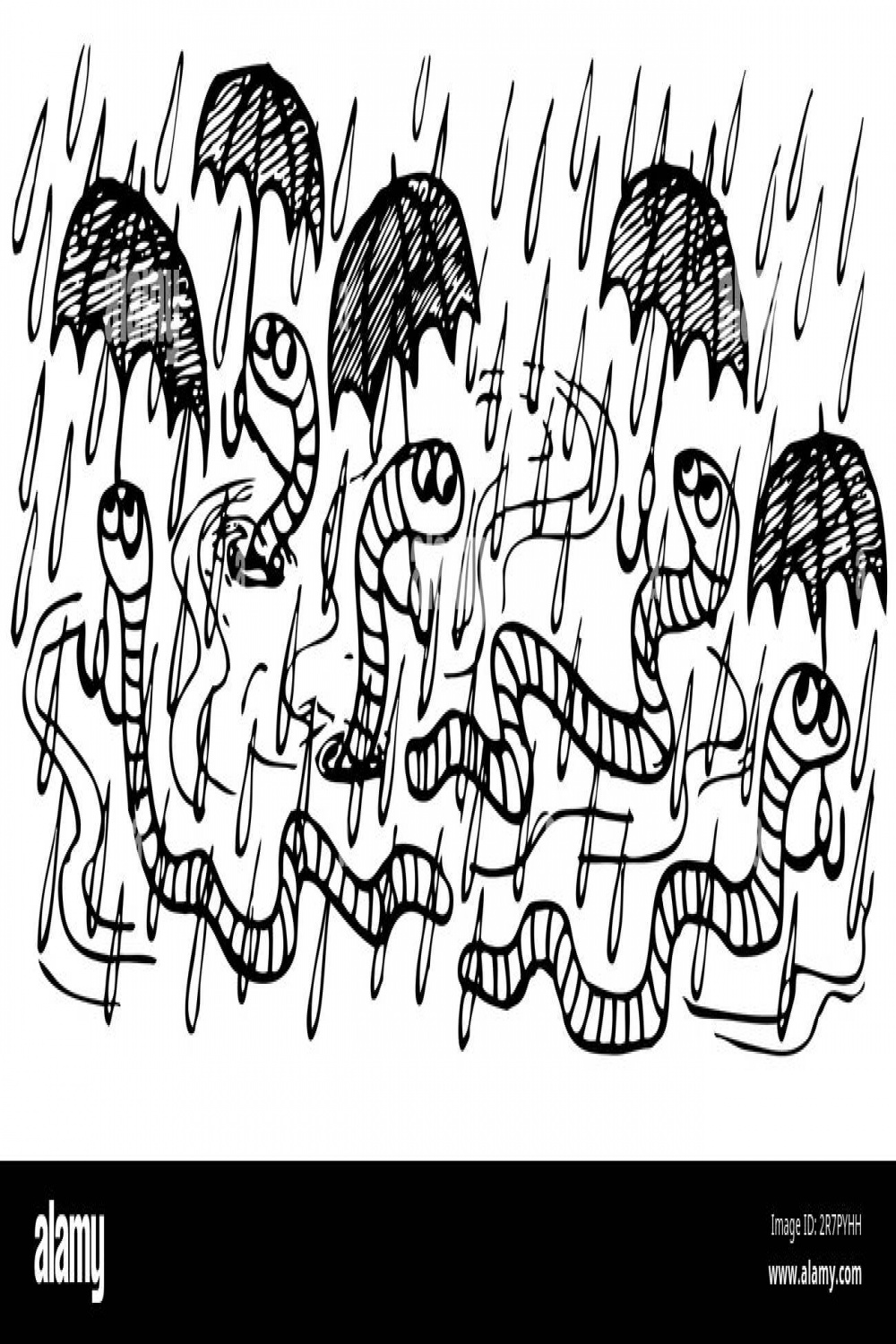 Rain worm Black and White Stock Photos & Images - Alamy