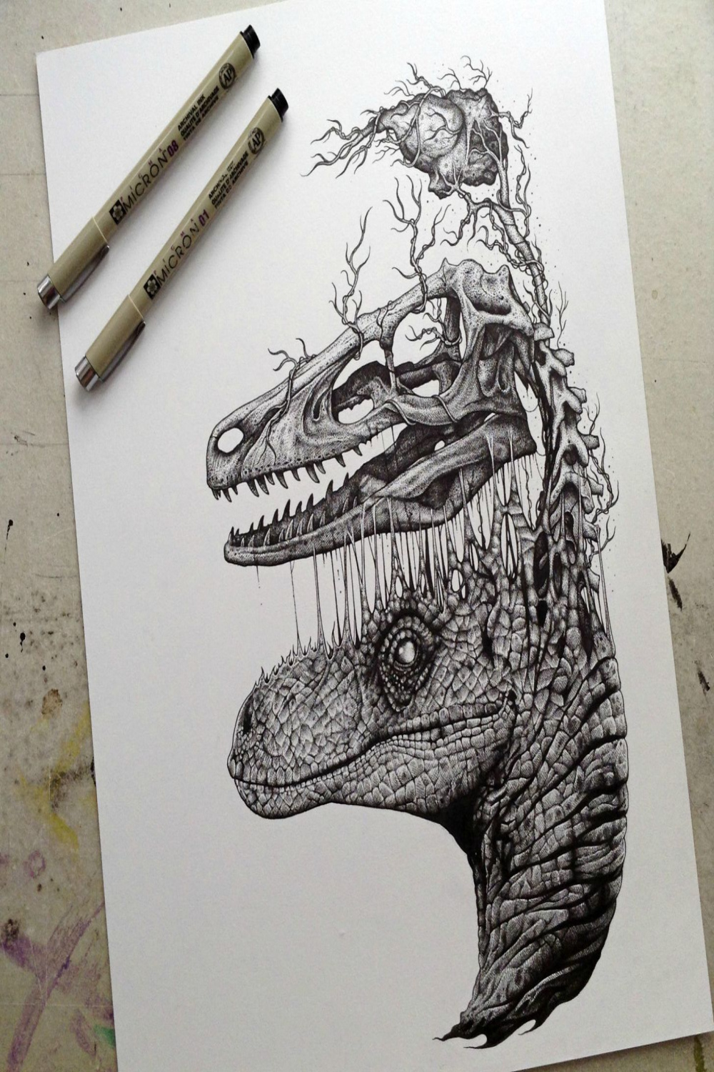 Raptor skull and brain drawing : pics  Animal skull drawing