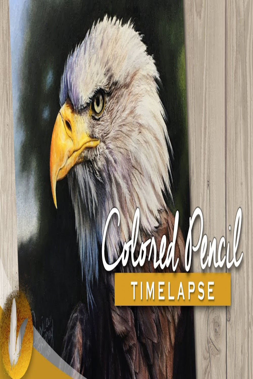 Realistic Bald Eagle Colored Pencil Drawing  Timelapse