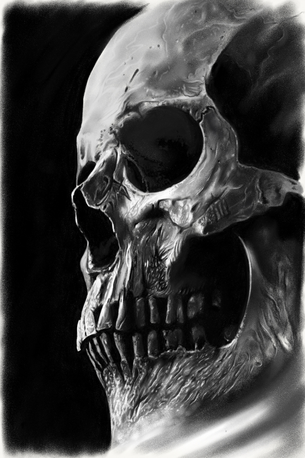 Realistic contrasting skull on Behance