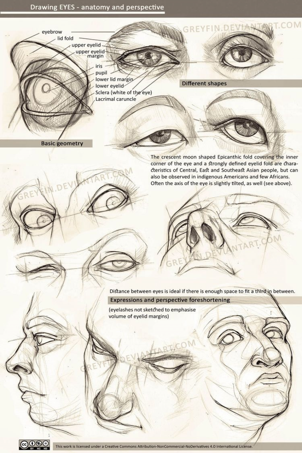 Realistic drawing reference dump - Album on Imgur  Çizim, Eskiz