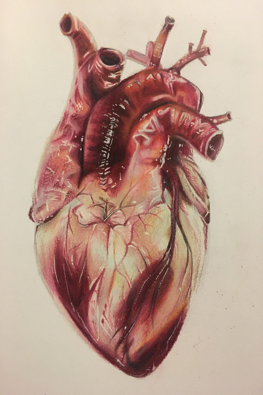 Realistic Heart Drawing - Etsy