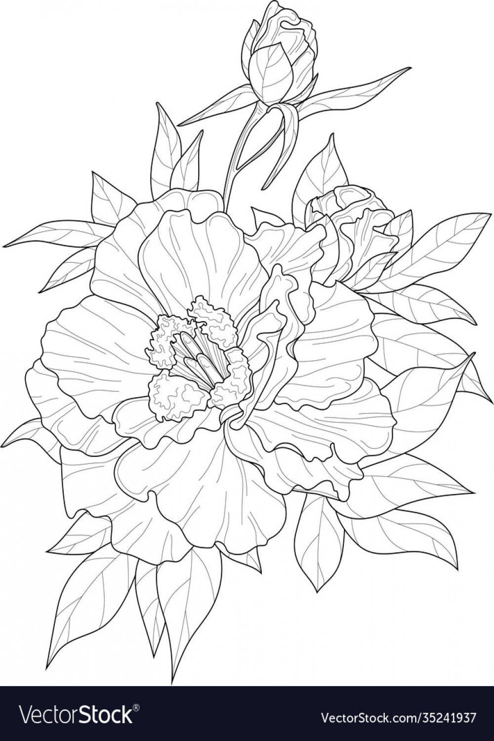 Realistic hibiscus flower sketch template Vector Image