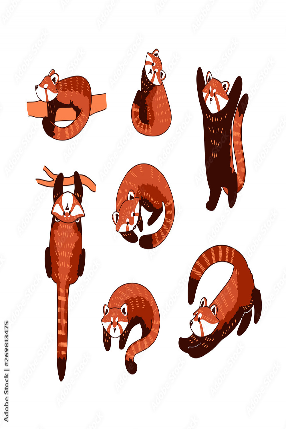 Red panda vector illustration