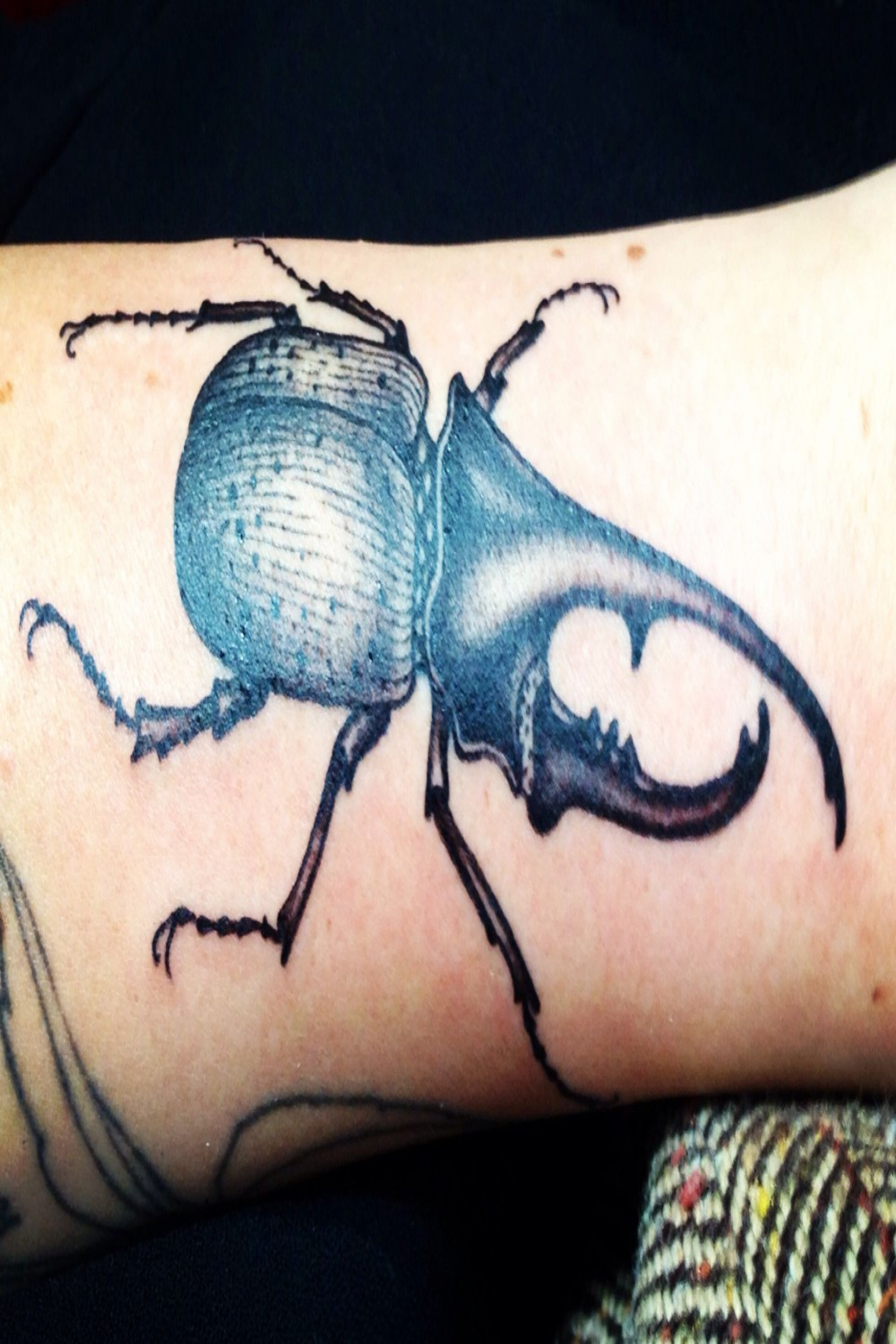 Rhino beetle tattoo  Beetle tattoo, Insect tattoo, Tattoos