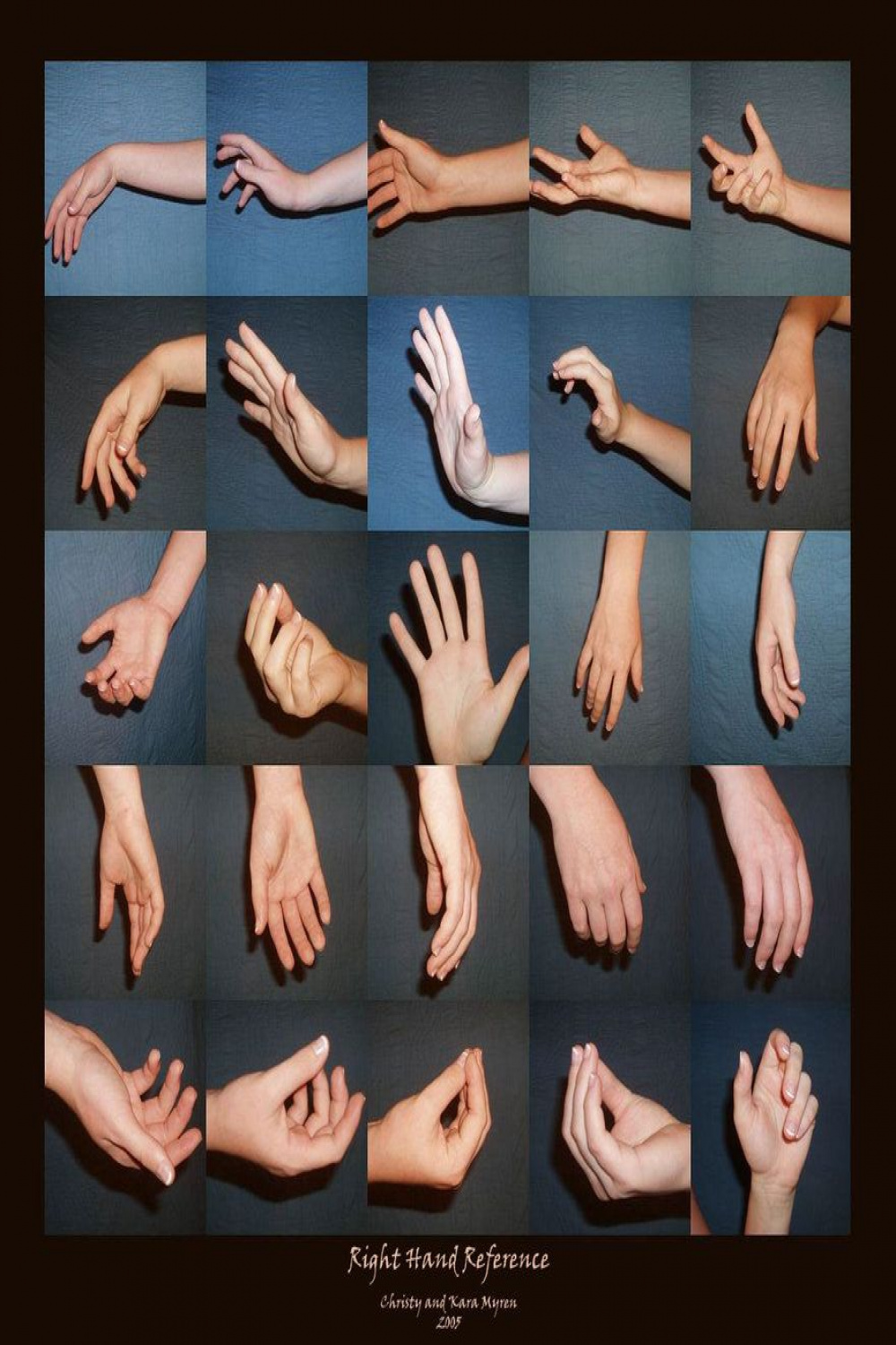 Right Hand - Reference by WindsweptSummer on deviantART  해부학