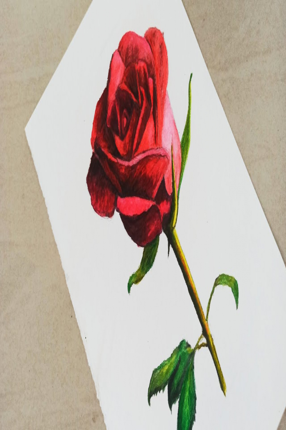 Rose drawing easy step by step with watercolour pencil and waterbrush -  flower drawing rose