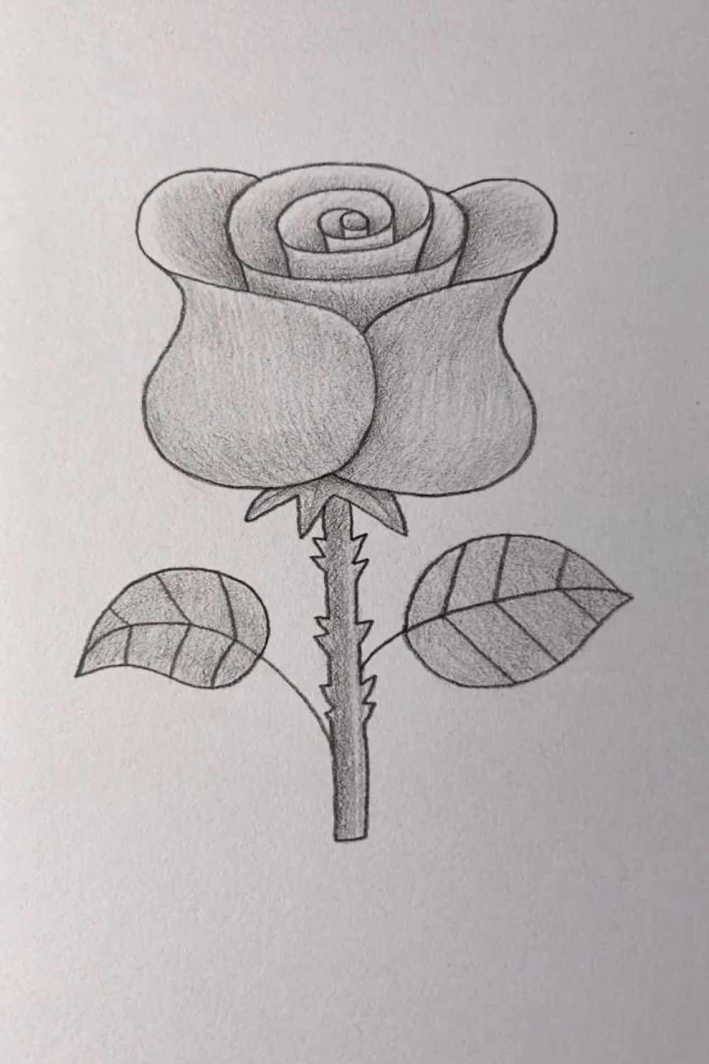 Rose Drawing Easy