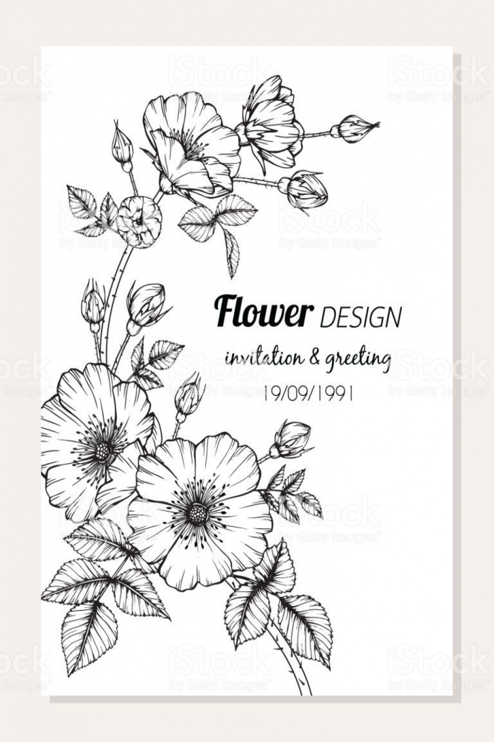 Rose flower frame drawing illustration for invitation and greeting