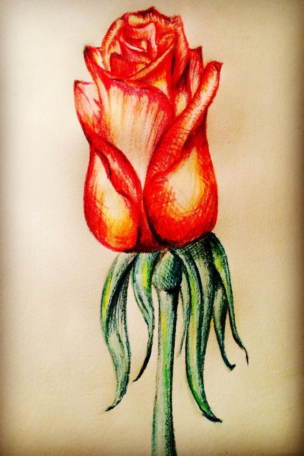 🌸 𝐑𝐨𝐬𝐞 on Instagram: rose, flower, rose drawing, flower