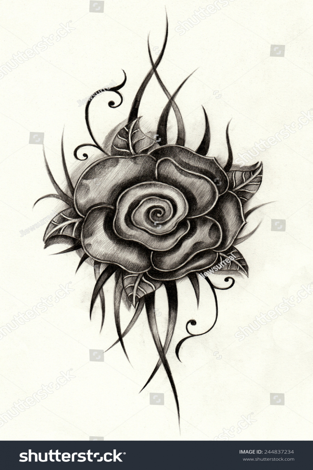 Rose Tattoo Hand Drawing On Paper: Stockillustration