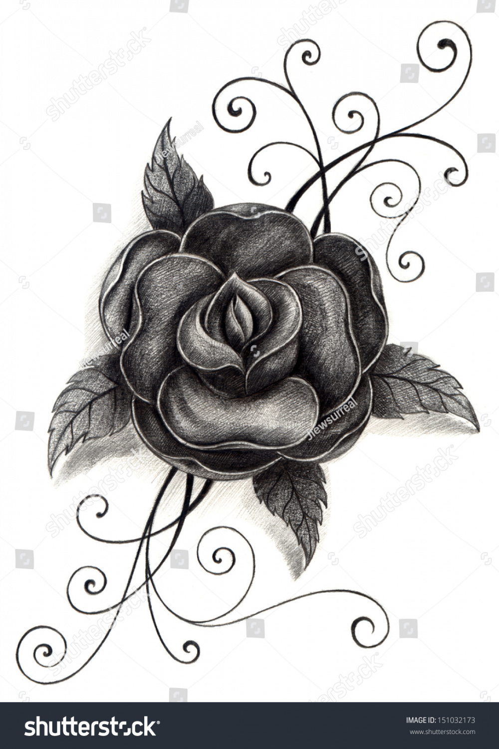 Rose Tattoo Hand Drawing On Paper: Stockillustration