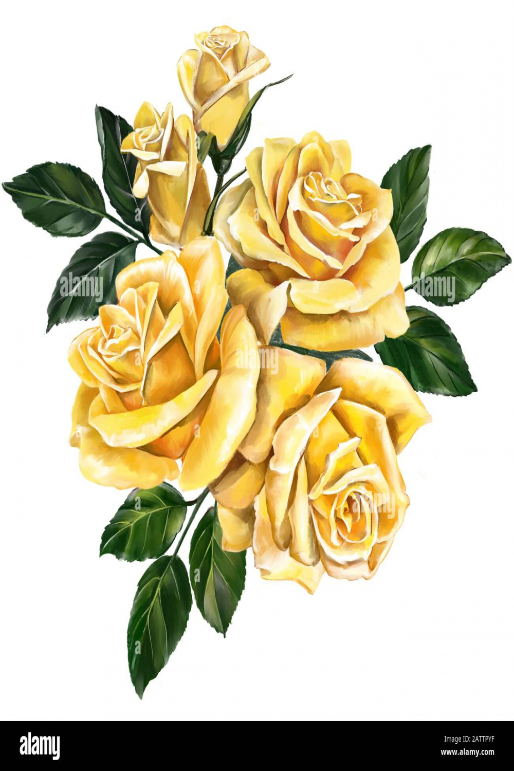 Rose yellow illustration hi-res stock photography and images - Alamy
