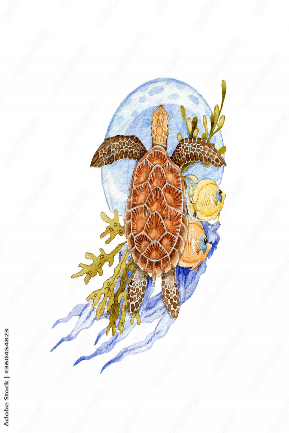 Sea turtle with jellyfish watercolor illustration